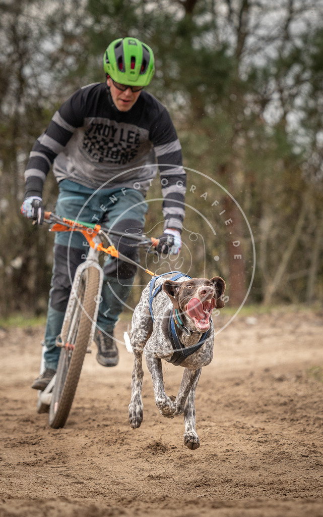Pfotenfotografie_DV3A9472 | Hundefotografie, Tierfotograf, Pfotenfotografie, Fotoshooting Hund, Hunde Portrait, Hundesport, Hundeportraits, Heideshooting, Hunde, Sportfotograf, Hundefotograf, Turnierhundsport, THS,  - Realisiert mit Pictrs.com