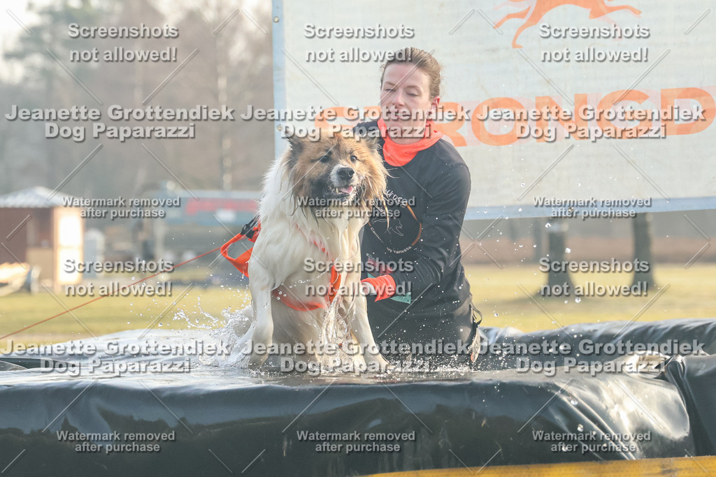 Dog Paparazzi - SD North Sa 830-900-31 | Dog Paparazzi Jeanette Grottendiek Fotografie & Videografie - Realisiert mit Pictrs.com