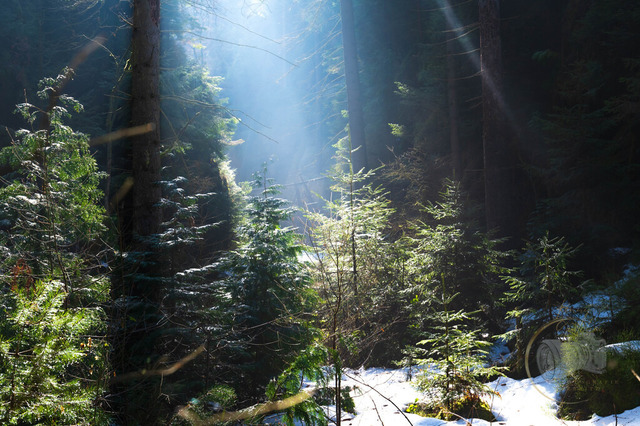 DSC_0639-10 | Shop für Prints Landschaftsfotografie Sächsische Schweiz Naturfotografie in Thüringen Fotos vom Findlingspark Nochten Kloster Sankt Marienstern Bilder Festung Königstein PanoramaRhododendronpark Kromlau FotogalerSchleswig-Holstein Küstenlandschaften