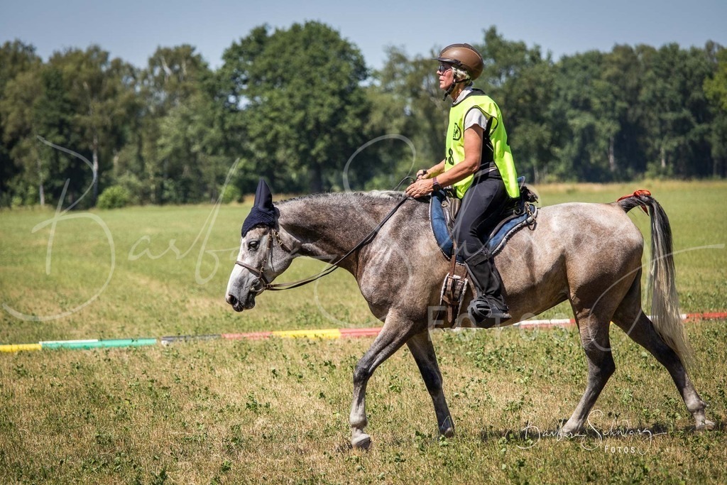CJP_2026-06-26_43 | Stimmungsvolle Fotografie von Pferden, fotografische Begleitung von Veranstaltungen, Golfturnieren und Distanzritten - Realisiert mit Pictrs.com