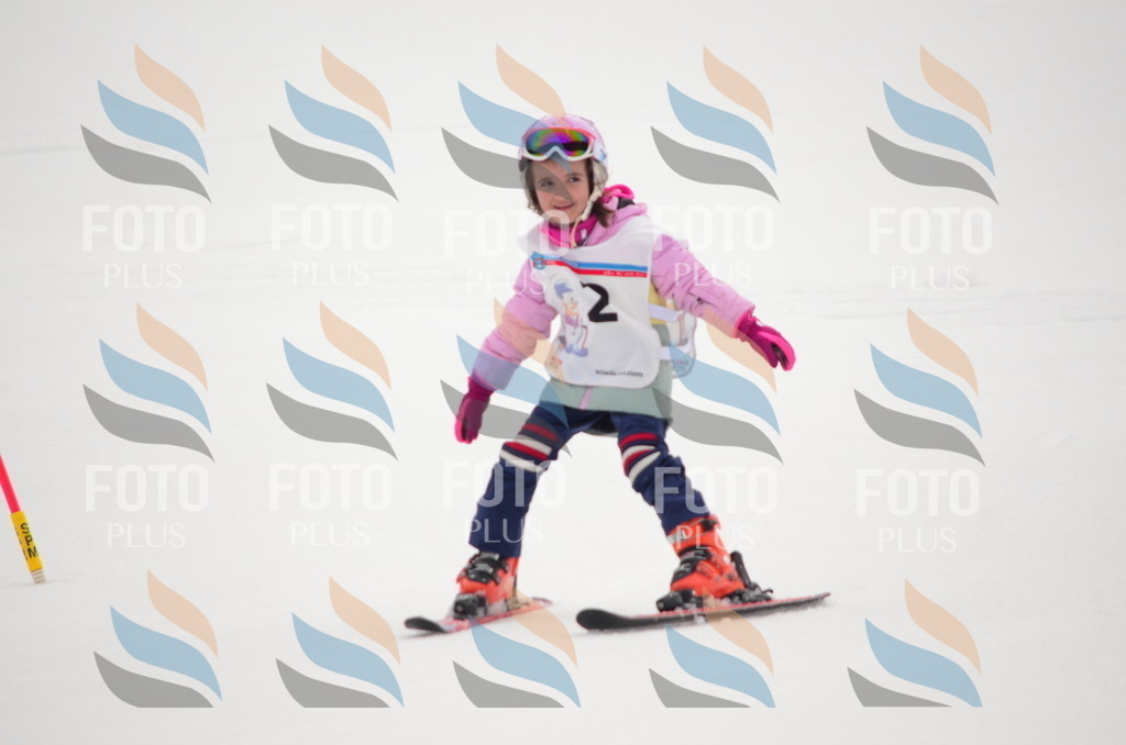 B9193 | holidayphoto