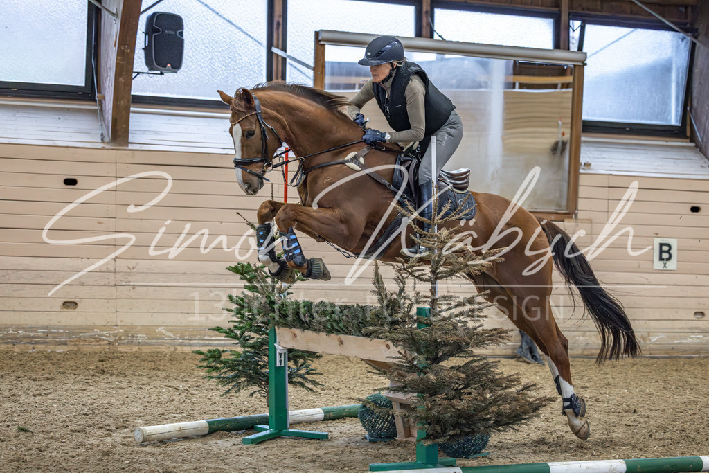 20260222-_3LI1343 | Tierfotografie Pferde, Hunde, Katzen, Haustiere.
Turnierfotografie Reitturniere, Reiten, Springreiten, Dressur in Hanau, dem Main-Kinzig-Kreis und dem Rhein-Main- Gebiet um Frankfurt