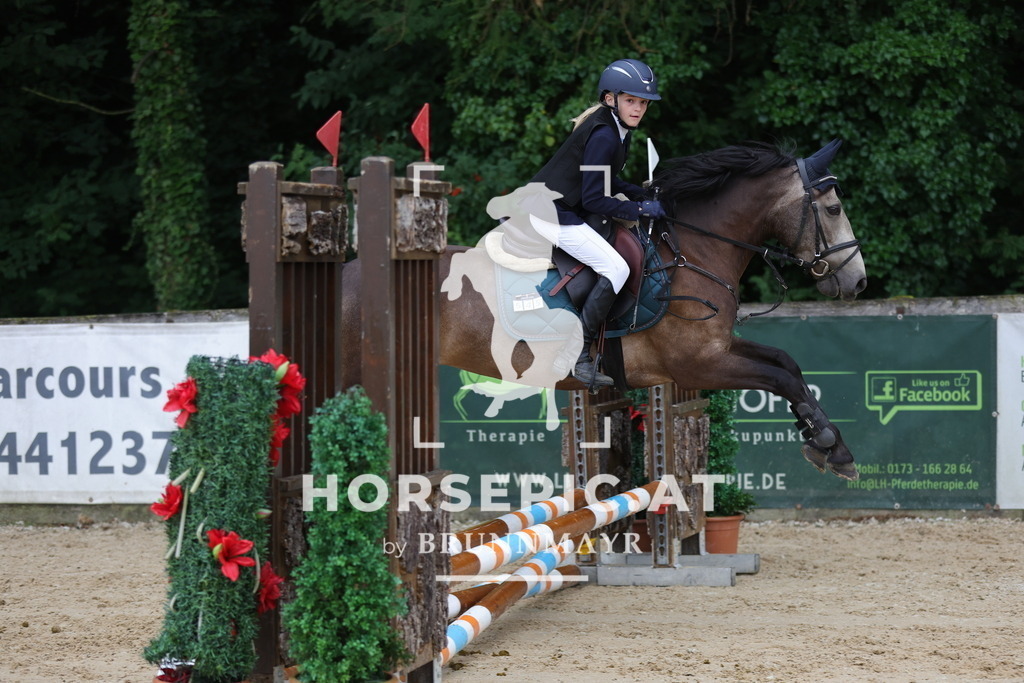 0P6A7098 | Willkommen bei Brunnmayr - Design & Fotografie – Ihrem Spezialisten für Reitturniere und Pferdeveranstaltungen in Oberösterreich, Salzburg und Bayern! Seit über 17 Jahren sind wir leidenschaftlich dabei.