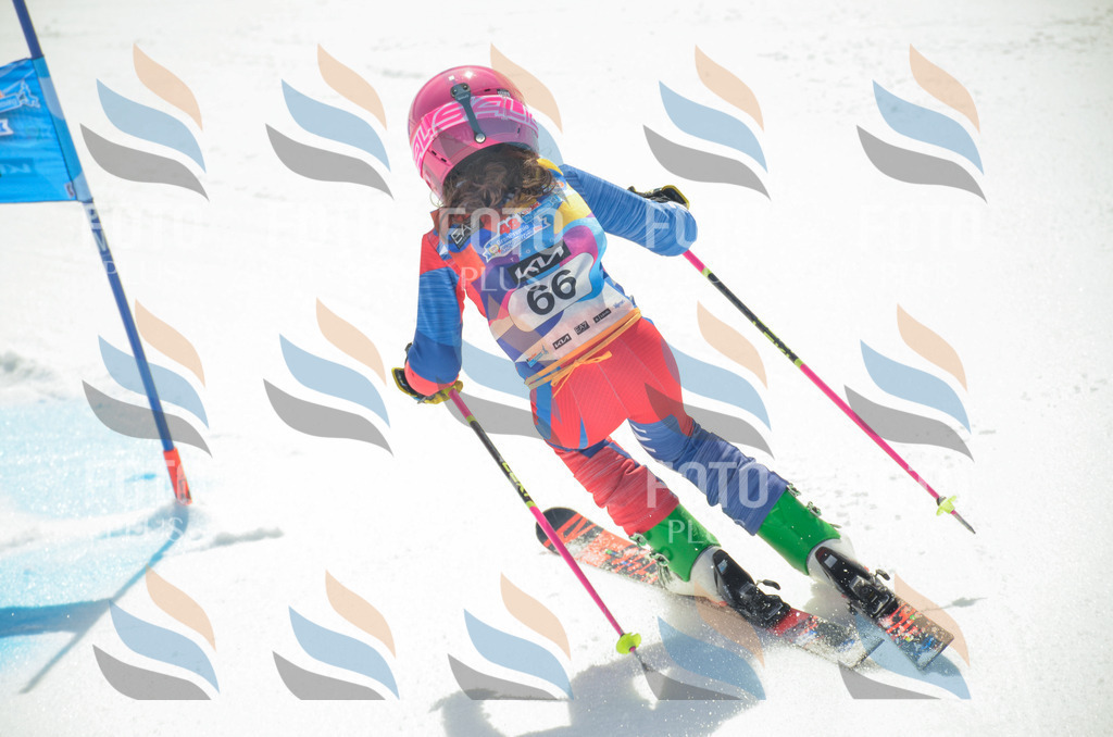 _ELE5392 | holidayphoto