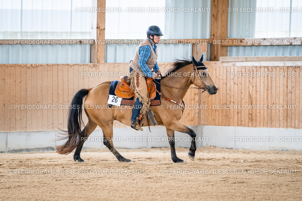 DSC08247 | Pferdegrafie