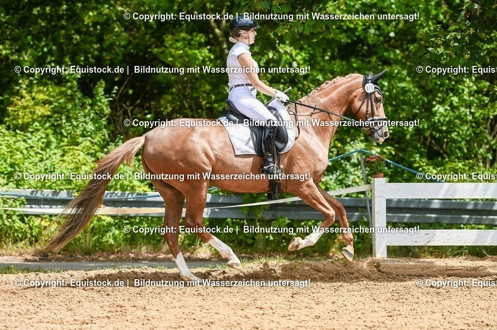 20230716_03_Dressurprfg. Kl.L - Tr._0523 | equistock