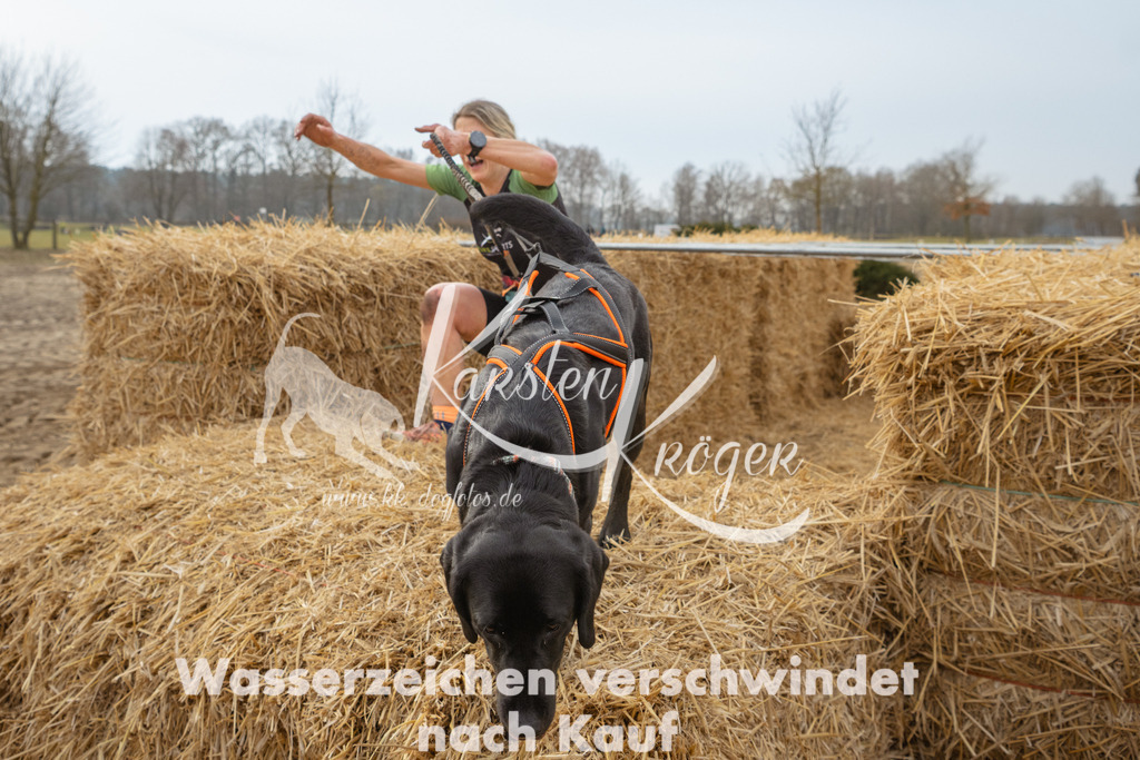 0936_ZZ99278 | kk-dogfotos