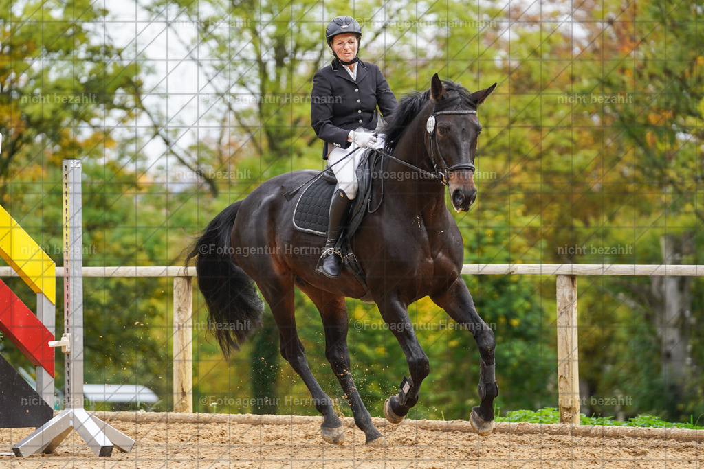 20221009-FAH08747 | Diessen am Ammersee, 2022, Dressur- und Springturnier, Reitsportbilder, Turnierfotografen Bayern, Pferdefotografen, Fotoagentur Herrmann, Turnierbilder