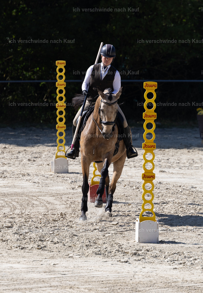 EJ3A0604 | working equitationturnier fotograf videograf stoibphotography marixx film working equitation deutschland reitsport turnierfotografie eventfotografie equestrian events