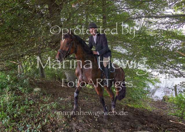 09-23 JAgd PerdölDSC02338_Marina Hewig | Fotografie, FotoArt, PferdesportArt, Pferdesportfotografie, Landschaftsfotografie, Reisefotografie, Reise, Pferde - Realisiert mit Pictrs.com