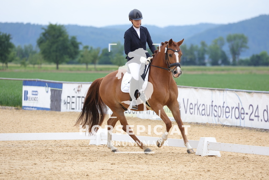 0P6A0985 | Willkommen bei Brunnmayr - Design & Fotografie – Ihrem Spezialisten für Reitturniere und Pferdeveranstaltungen in Oberösterreich, Salzburg und Bayern! Seit über 17 Jahren sind wir leidenschaftlich dabei.