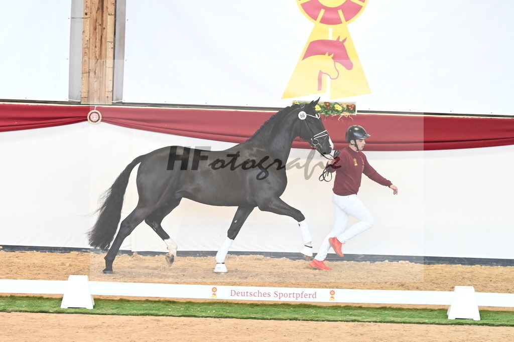 Kat.-Nr. 66 v. Taurus_Beckmann_2240860 | hf-fotografie - Realisiert mit Pictrs.com
