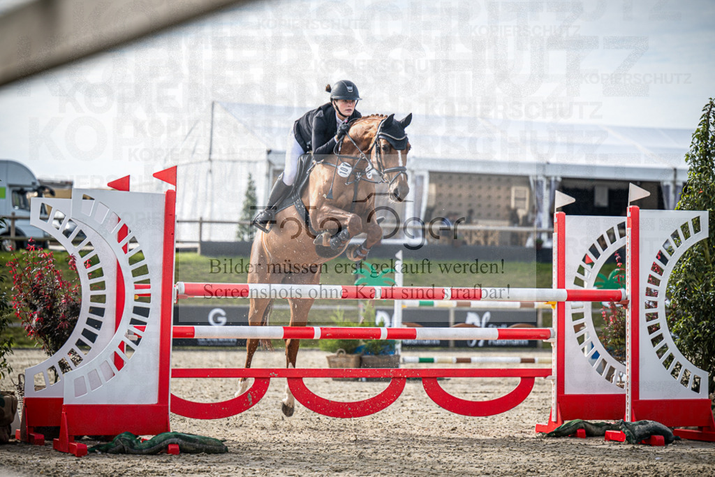 DOS_6050 | Entdecke hochwertige Reitturnierfotos von Foto Oger. Professionell, emotional und authentisch – jetzt Lieblingsmomente im Shop bestellen.Deutschlandweite Turnierfotografie. - Realisiert mit Pictrs.com
