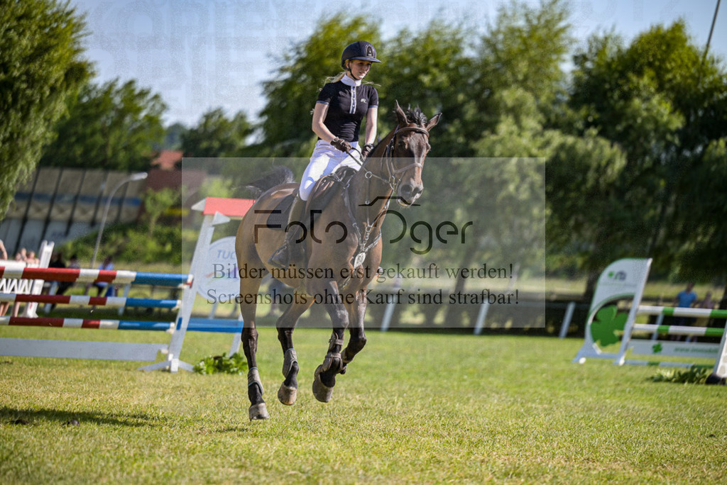 Reitturnier Voxtrup | Entdecke hochwertige Reitturnierfotos von Foto Oger. Professionell, emotional und authentisch – jetzt Lieblingsmomente im Shop bestellen.Deutschlandweite Turnierfotografie. - Realisiert mit Pictrs.com