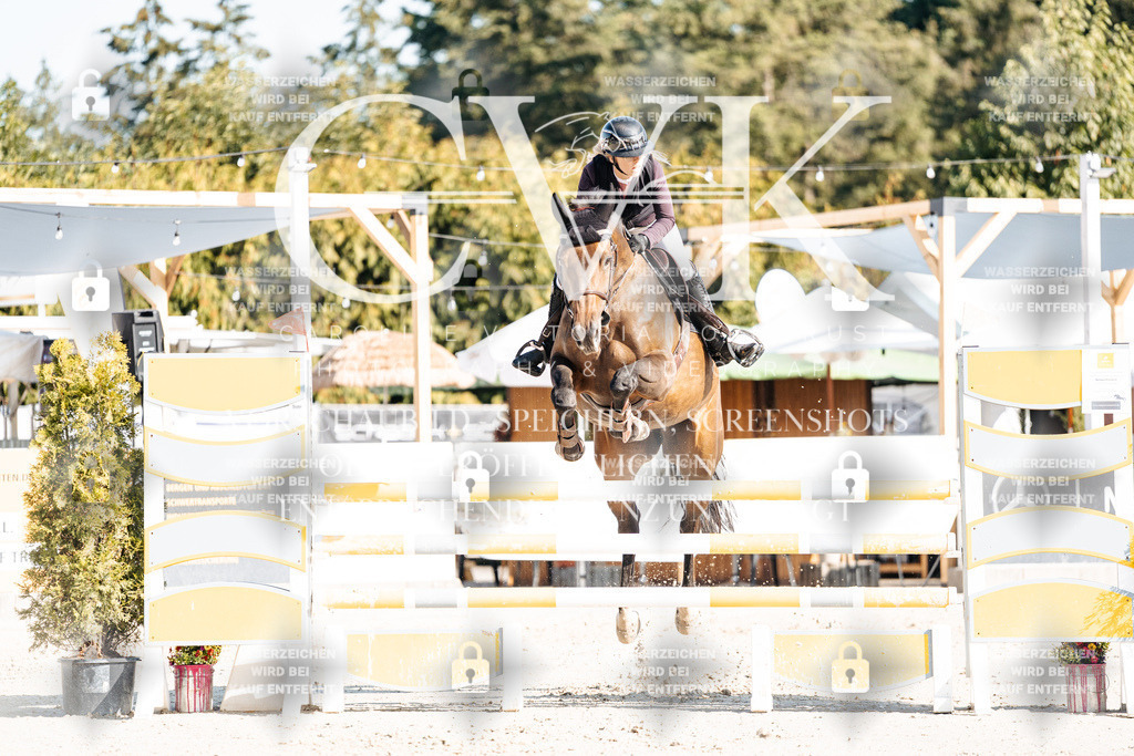 CK901843 | Turnierfotografie Pferdefotografie Trier Rheinland-Pfalz Pferdesport Reitsport Tierfotografie Sportfotografie Pferdevideo Pferdevideografie Equestrianvideography equestrianphotography  - Realisiert mit Pictrs.com