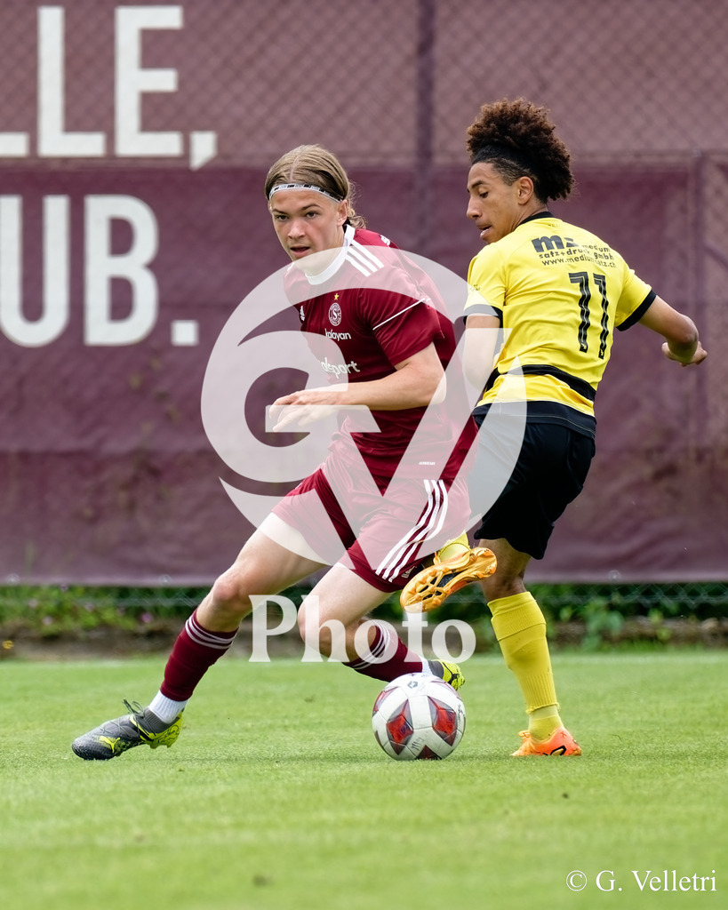 DSC_4286 | Velletri Photo