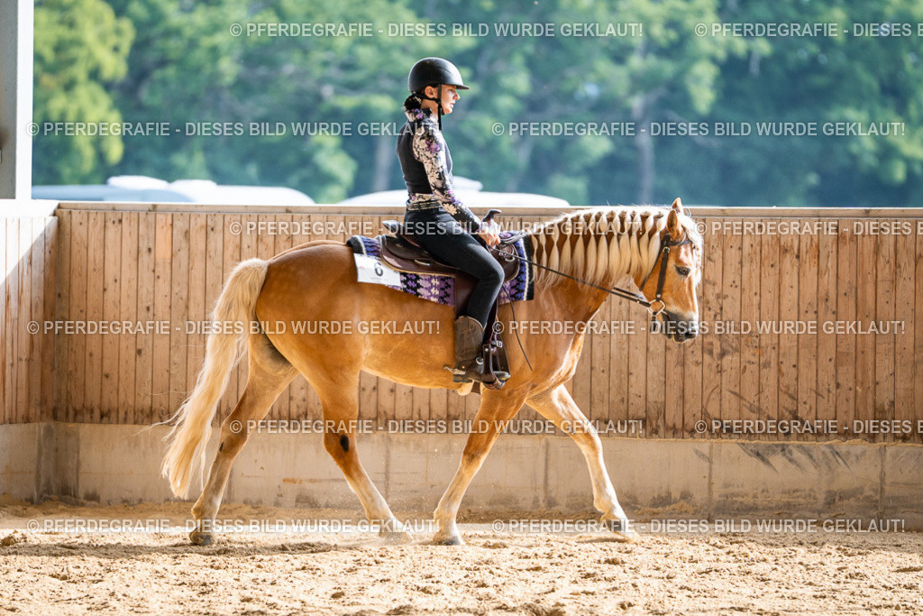 DSC08205 | Pferdegrafie