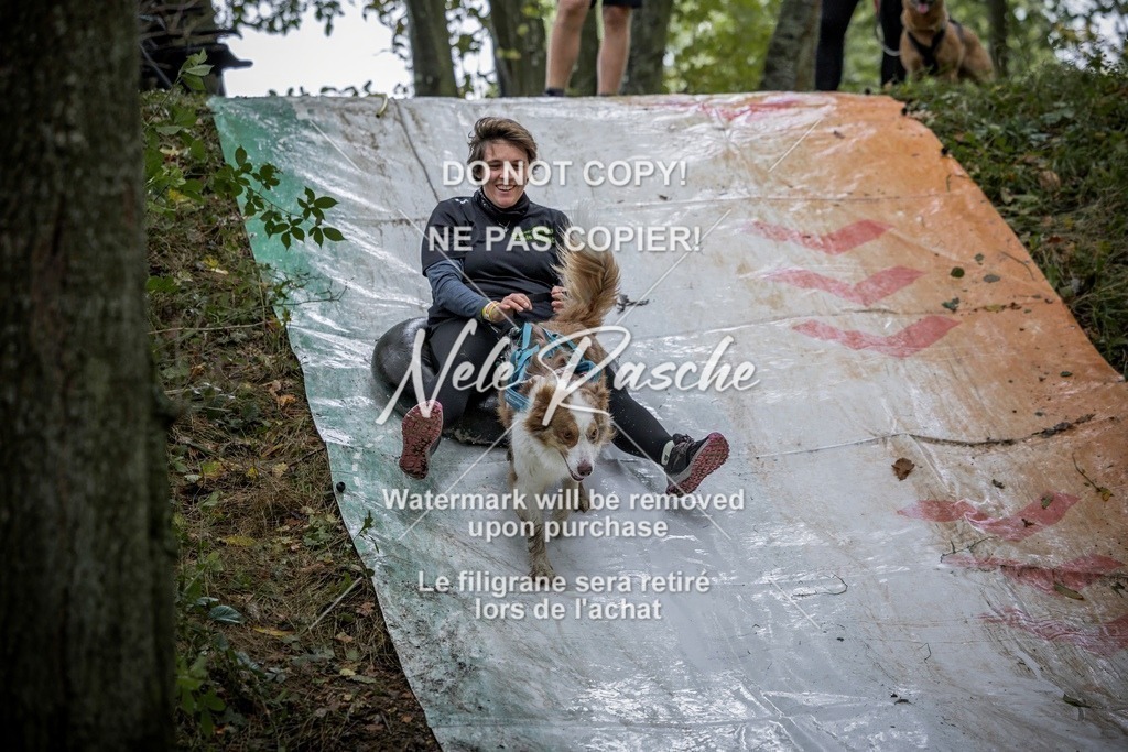 nelerasche_Hunsrück_Sa0930-1000_414-final | nelerasche