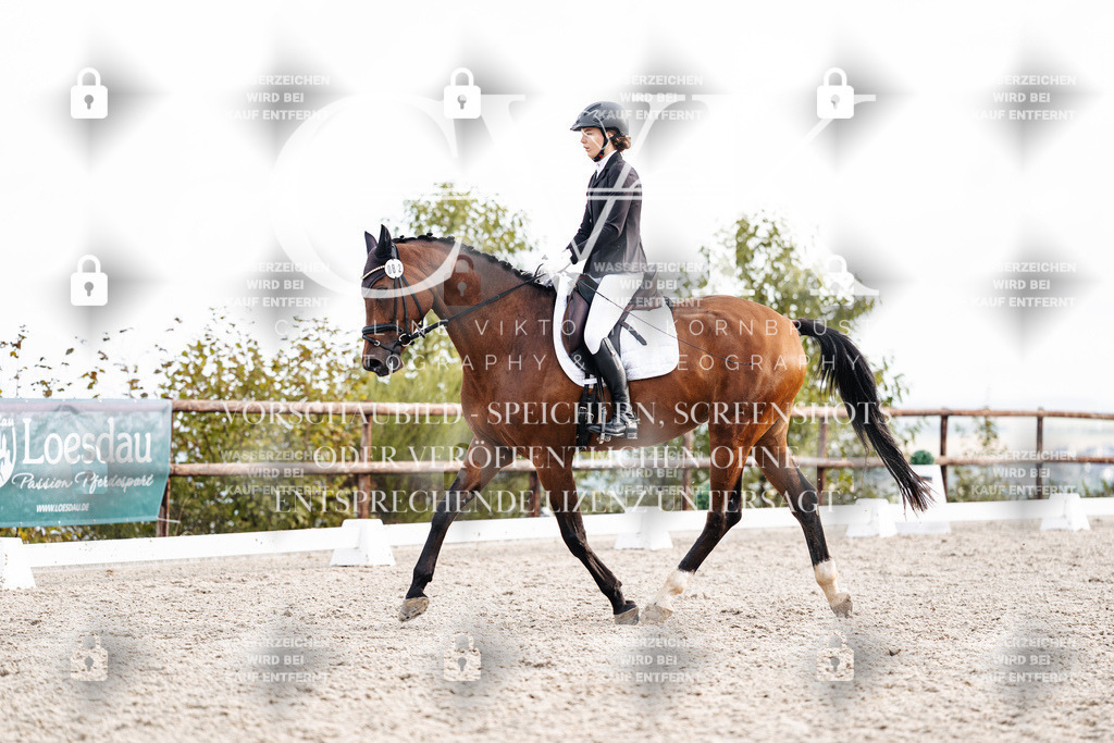 CK900953 | Turnierfotografie Pferdefotografie Trier Rheinland-Pfalz Pferdesport Reitsport Tierfotografie Sportfotografie Pferdevideo Pferdevideografie Equestrianvideography equestrianphotography  - Realisiert mit Pictrs.com