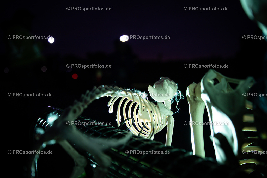 Halloween Run 2025 in Koeln, 31.10.2025 | Impressionen vom Halloween Run 2025 am 31.10.2025 in Koeln (Forstbotanischer Garten Rodenkirchen). Foto: Axel Kohring/Beautiful Sports