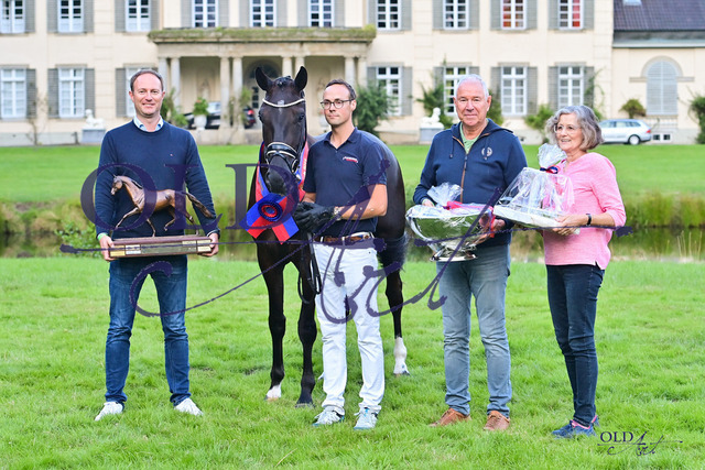 40 Royal-Hope DE 433330039820 Total Hope - Danciano DSC_1636 | <meta name="description" content="★Offizieller Merchandise und Foto-/Videostore des Oldenburger Verbandes.★ ✅Jetzt auch digital Ausdrucke erhältlich." />
<meta name="keywords" content="Merchandise Foto-/Videostore Oldenburger Verband Photographie 