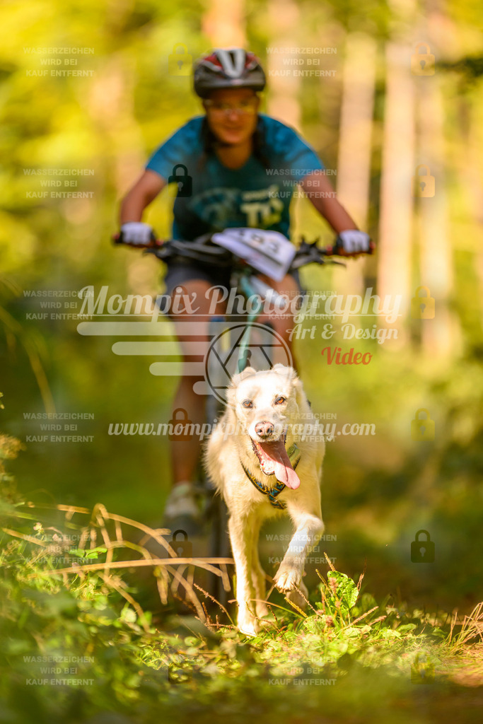 MompixPhotography_Yens2025_B2-84 | PayLife