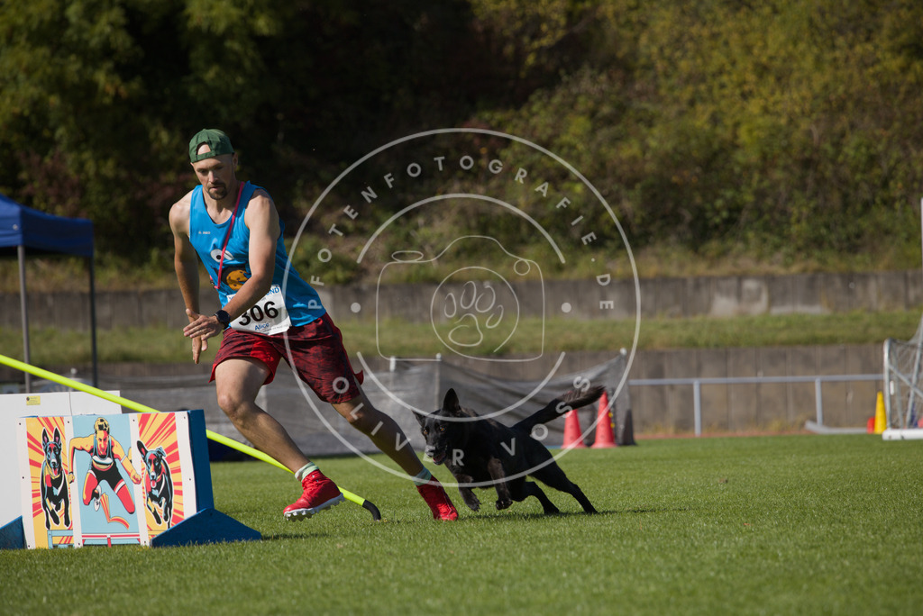 0L8A8522 | Hundefotografie, Tierfotograf, Pfotenfotografie, Fotoshooting Hund, Hunde Portrait, Hundesport, Hundeportraits, Heideshooting, Hunde, Sportfotograf, Hundefotograf, Turnierhundsport, THS,  - Realisiert mit Pictrs.com