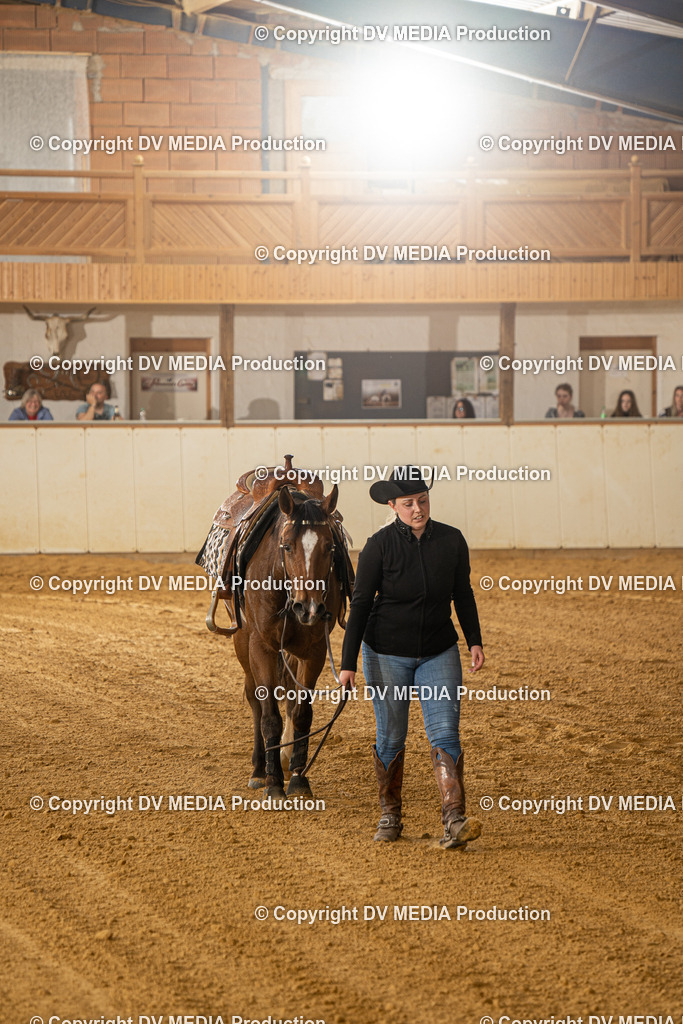 MIT00350 | dv-media-shop - Realisiert mit Pictrs.com