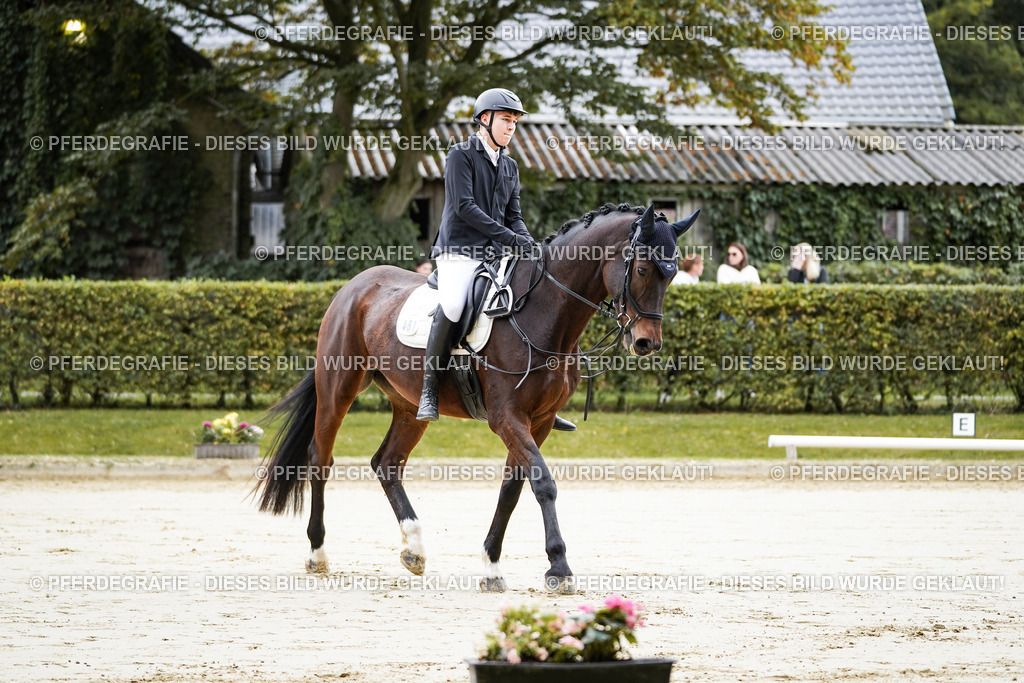 DSC04619 | Pferdegrafie