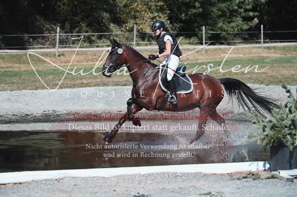 DSC_8534 | Pferde- und Turnierfotografie in Westsachsen. Pferdeportraits, Auftragszeichnungen und intuitive Kunst.