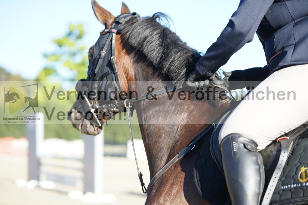 DSC08203 | equestrian-live-com