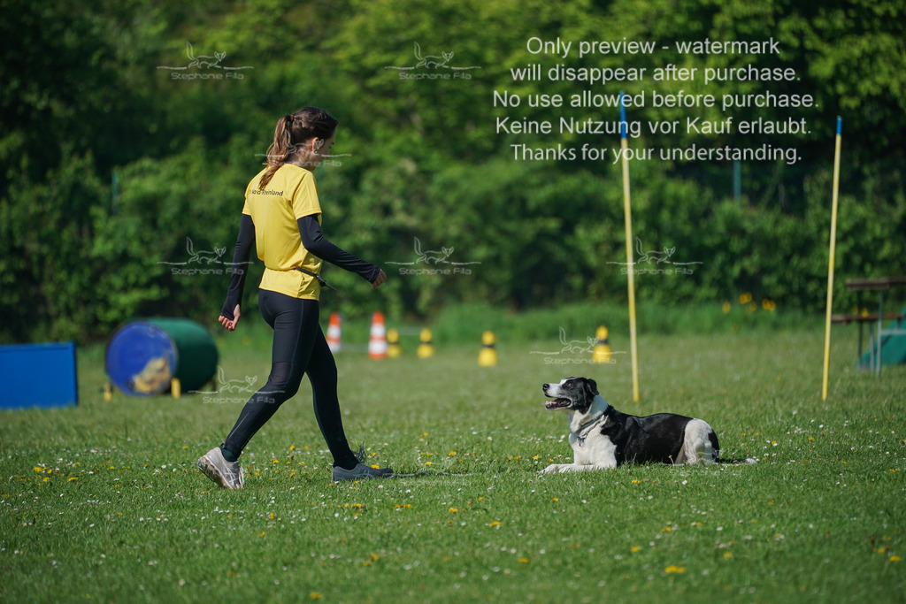 Sa_Gehorsam_Vormittag-25 | stephaniefillaphotographie - Realisiert mit Pictrs.com