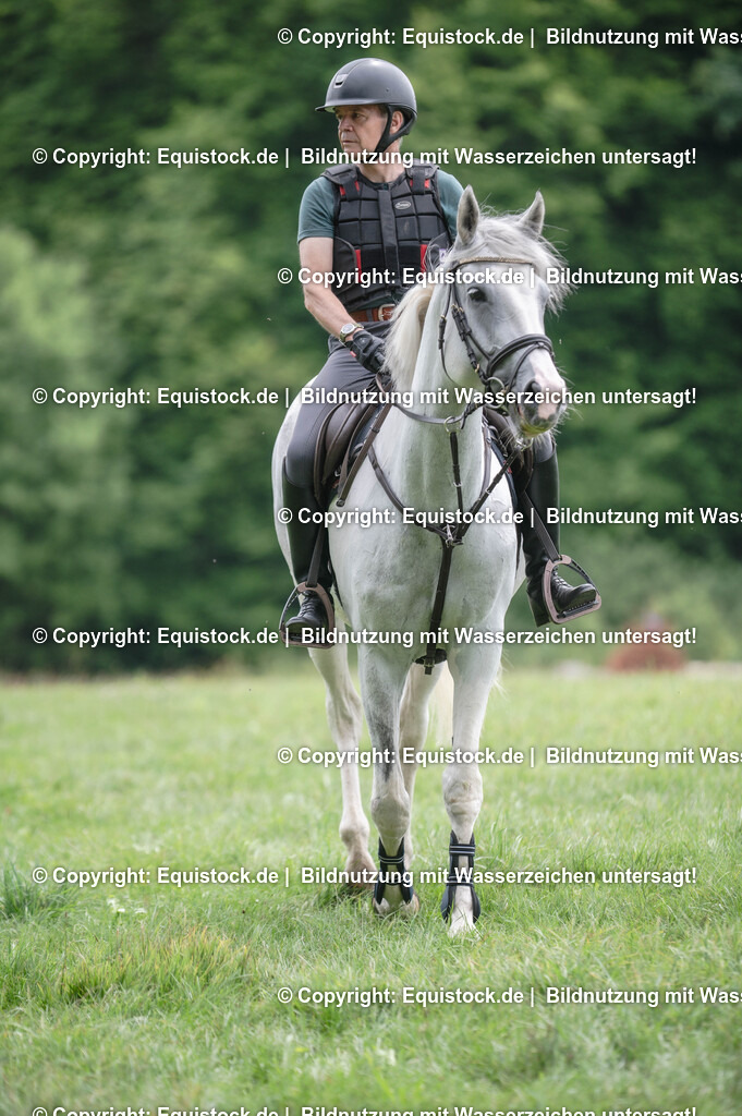 20250726_Vielseitigkeitslehrgang-Marbach_0571 | Foto: Thomas Hartig