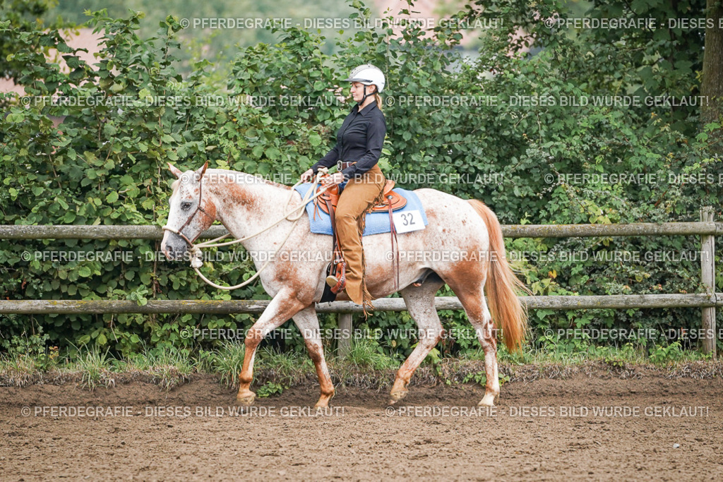 DSC01878 | Pferdegrafie