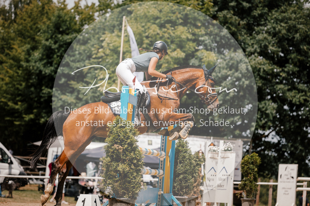3I6A8002 | Stimmungsvolle Portraits und Reitsportfotografie im Ruhrgebiet und im Münsterland.

Pferdefotografie, Hundefotografie, Tierfotografie, Reportagen, Portraits von Tier und Mensch, Turnierfotografie in Bochum, Recklinghausen, Marl, Haltern am See, Dülmen.. - Realisiert mit Pictrs.com