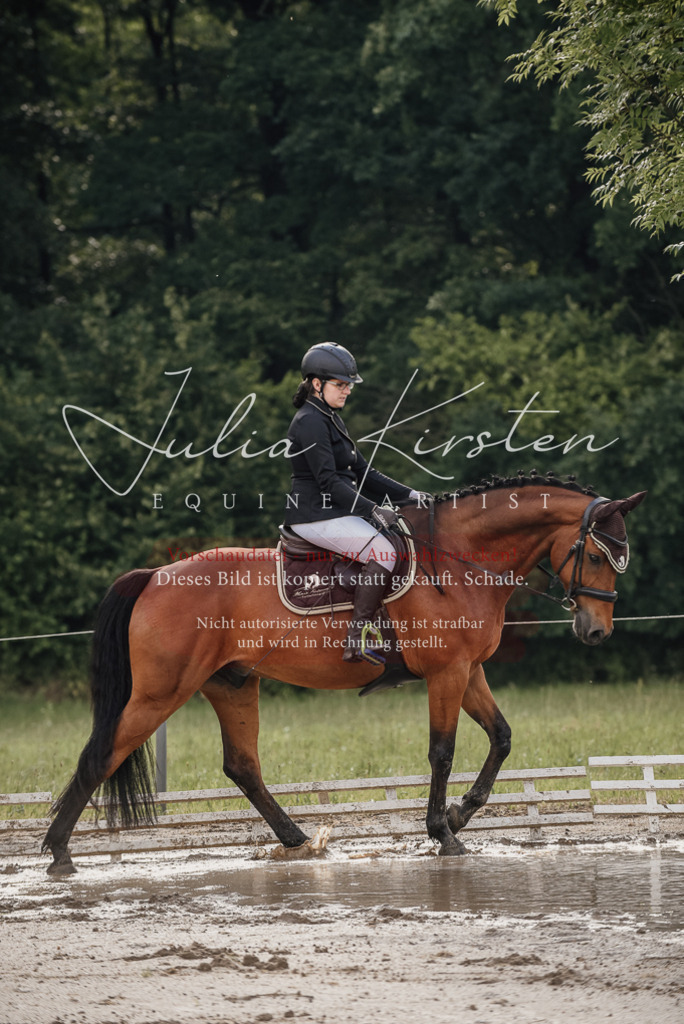 DSC_8429 | Pferde- und Turnierfotografie in Westsachsen. Pferdeportraits, Auftragszeichnungen und intuitive Kunst.