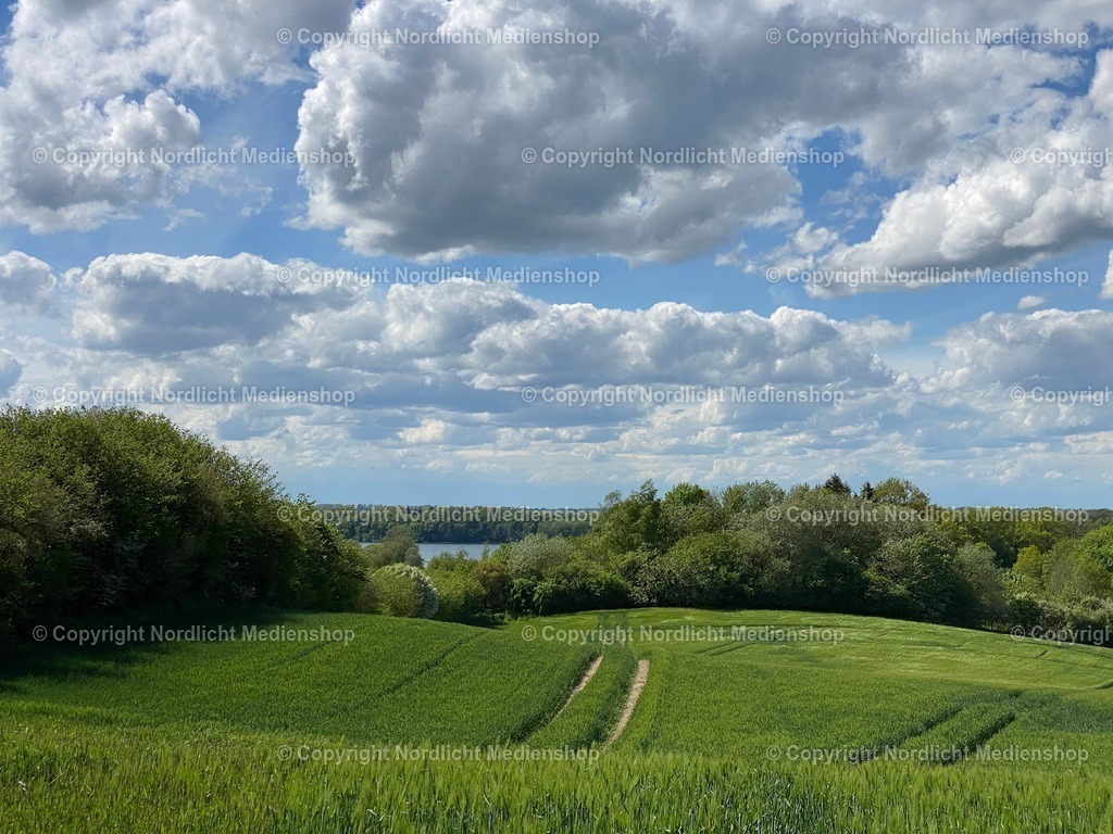 IMG_9413 | nordlicht-medienshop