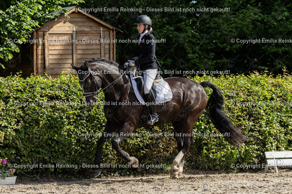 CL5A7347 | Emilia Reinking Fotografie - Realisiert mit Pictrs.com