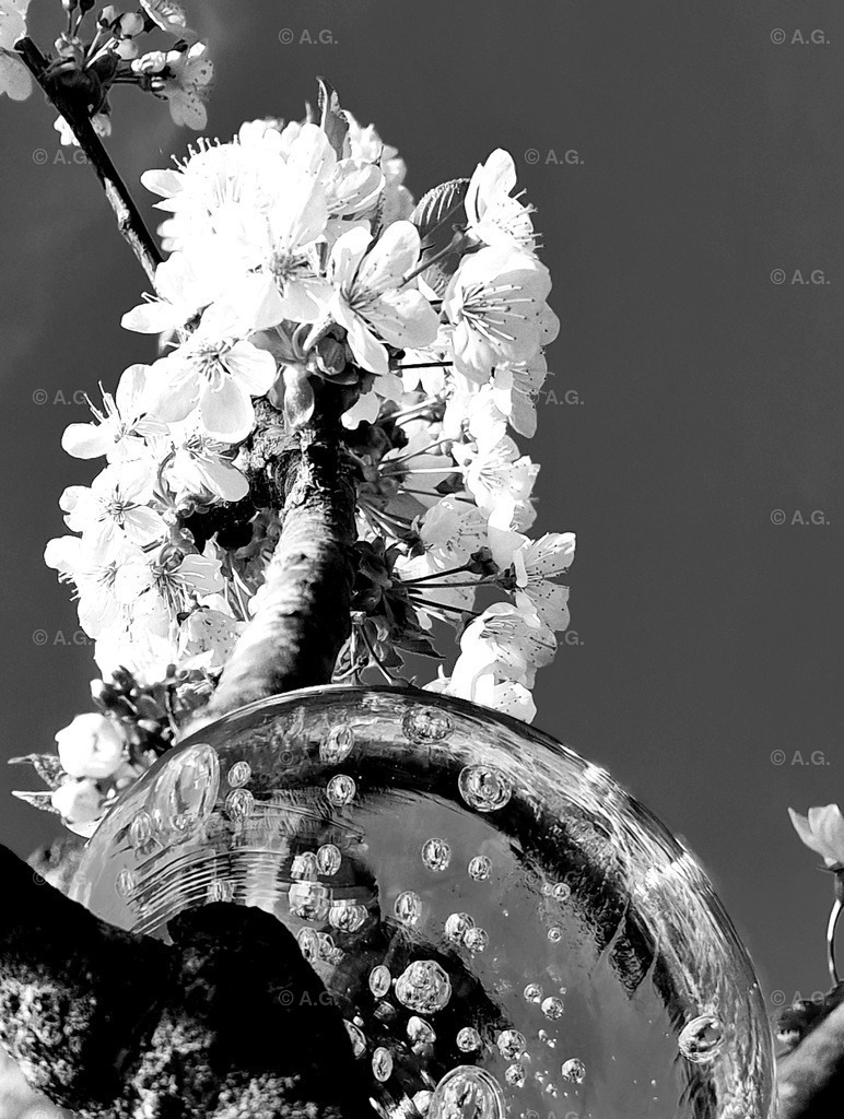 20220421_121711 | aileen-glaeser - Realisiert mit Pictrs.com