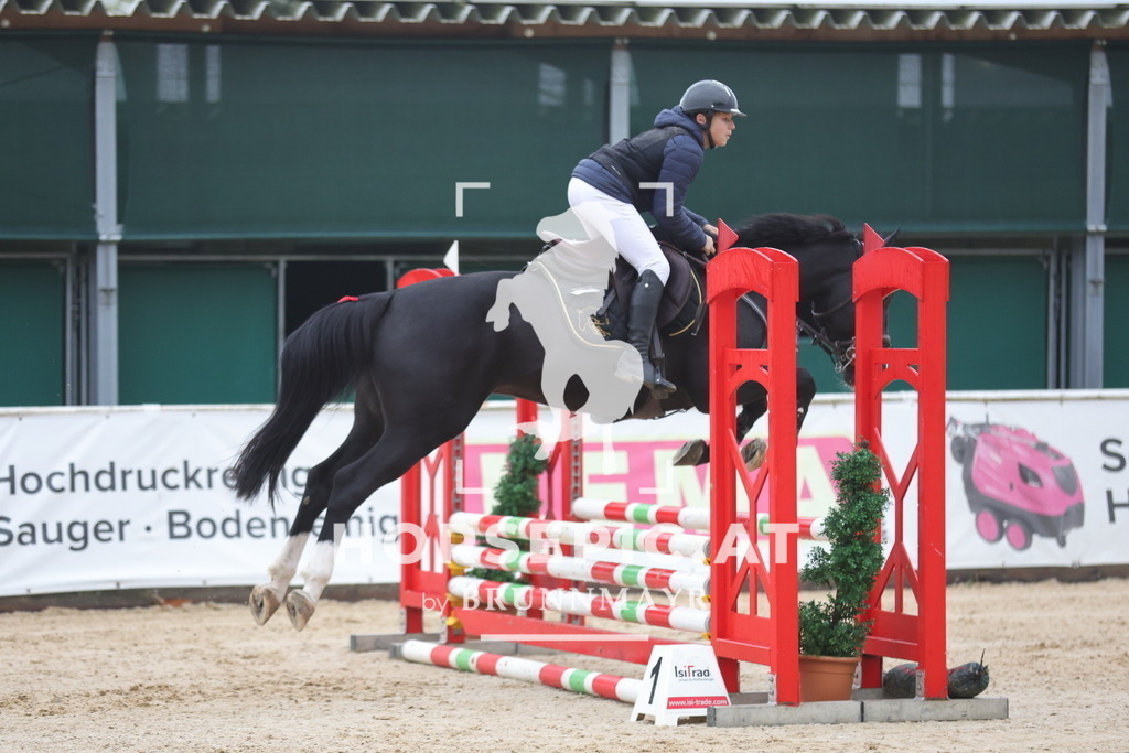 0P6A0464 | Willkommen bei Brunnmayr - Design & Fotografie – Ihrem Spezialisten für Reitturniere und Pferdeveranstaltungen in Oberösterreich, Salzburg und Bayern! Seit über 17 Jahren sind wir leidenschaftlich dabei.