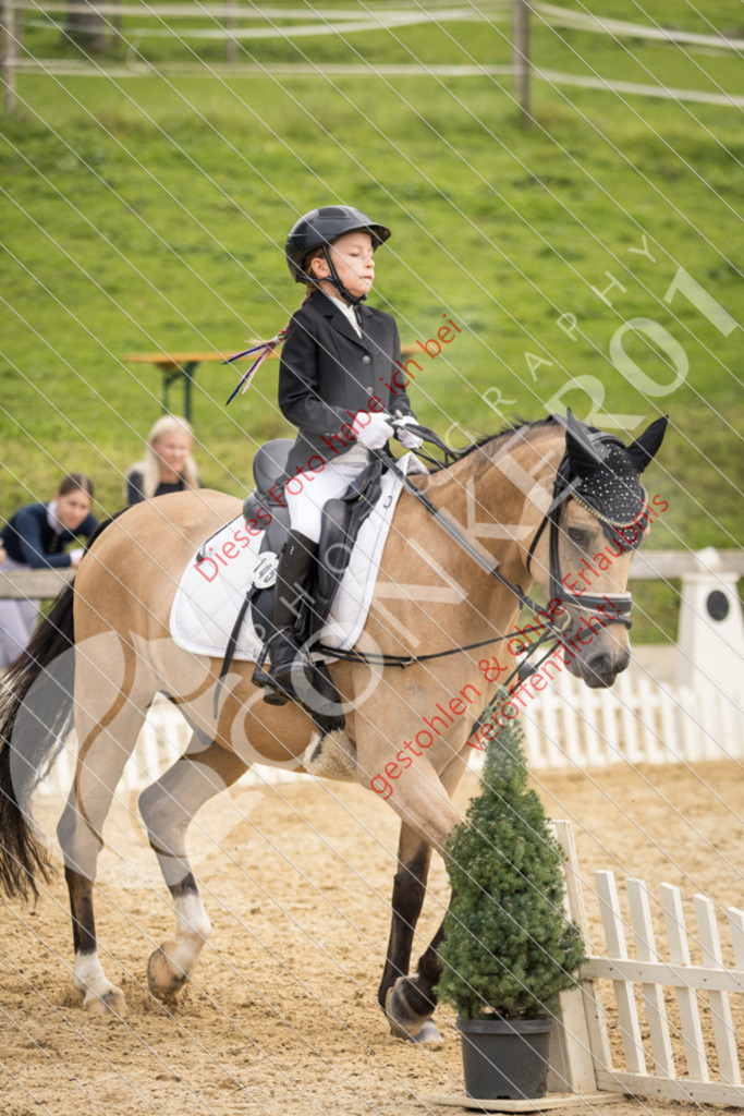 CON_0356 | Sport-, Event- und Tierfotos in Profiqualität. Einfach auswählen, bestellen und herunterladen. Dein Moment – perfekt festgehalten.