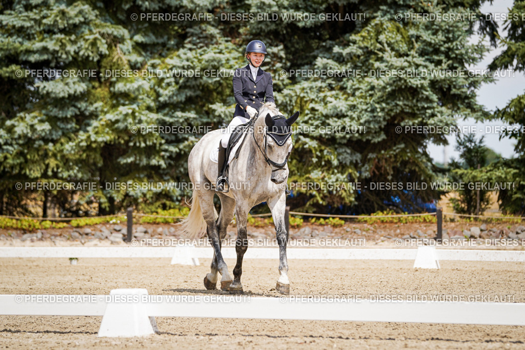 DSC02480 | Pferdegrafie