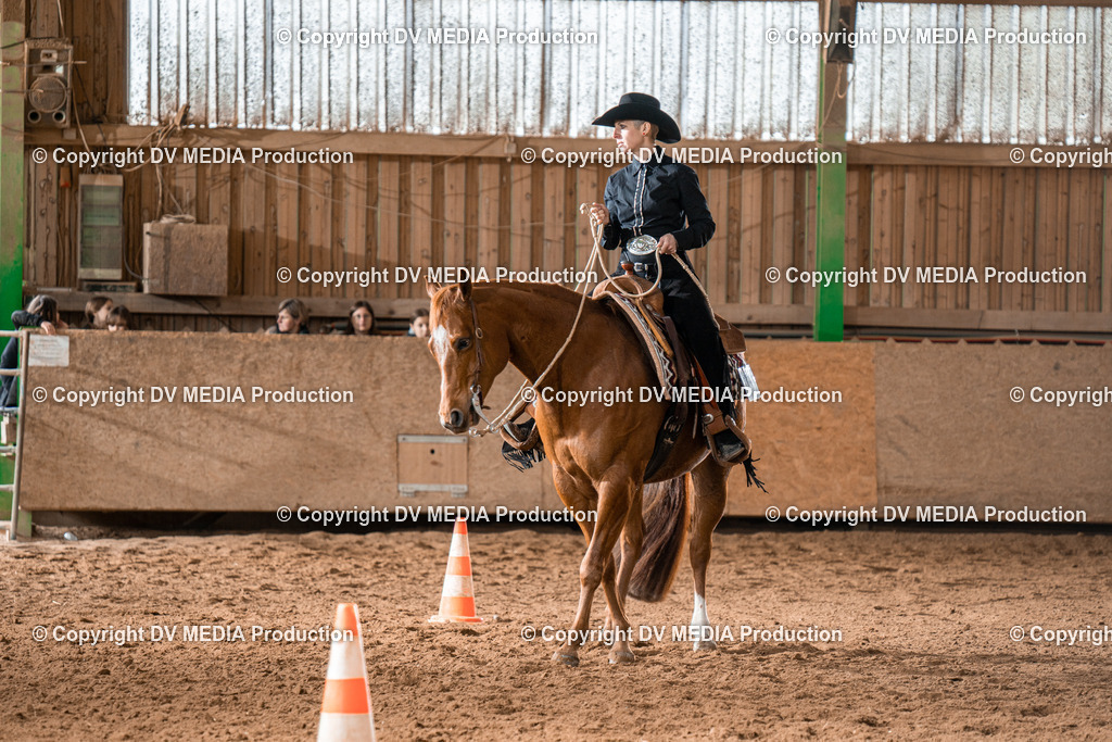 BAL01850 | dv-media-shop - Realisiert mit Pictrs.com