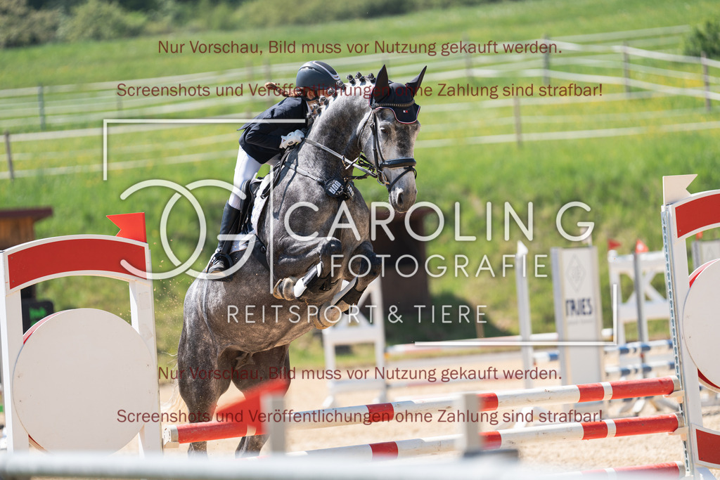DSC04344 | Springturnier_Ehingen_Mai_2026, Marie_Emilia_Maier, Dream_of_Ice_HM