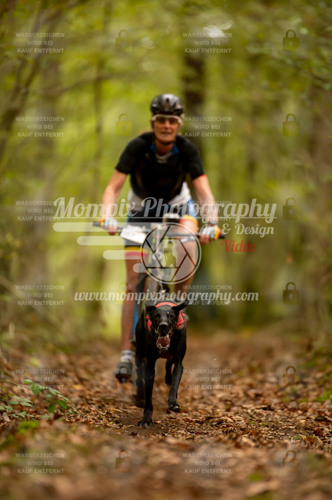 TSB_2023_E1_Bike-89 | PayLife