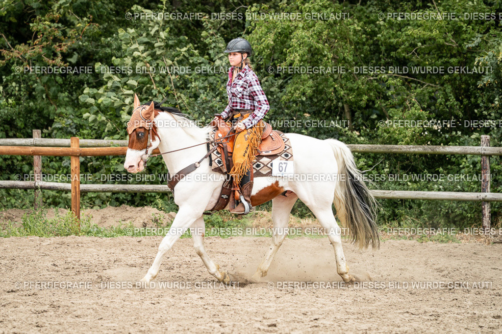 DSC01176 | Pferdegrafie