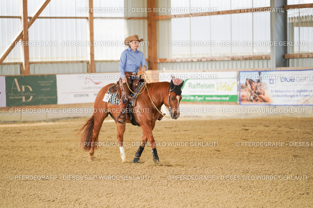 DSC02556 | Pferdegrafie