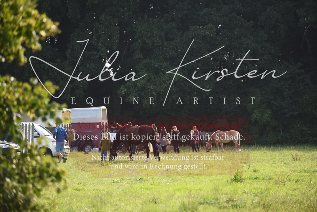 DSC_8528 | Pferde- und Turnierfotografie in Westsachsen. Pferdeportraits, Auftragszeichnungen und intuitive Kunst.