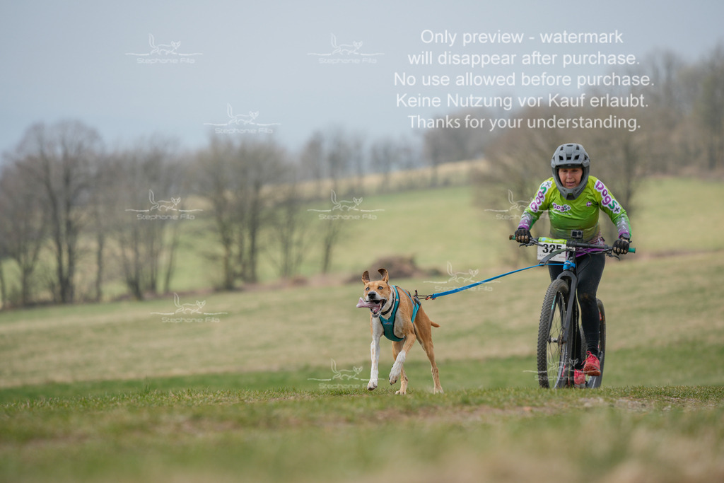 ScooterSA-134 | stephaniefillaphotographie - Realisiert mit Pictrs.com