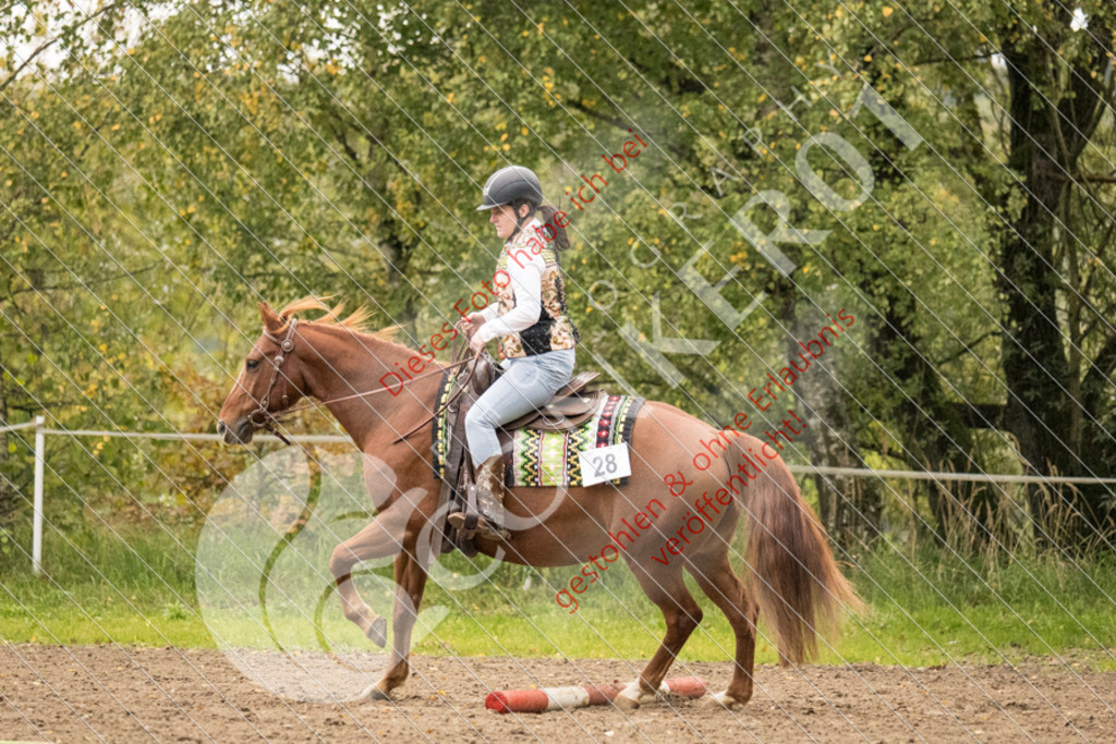 CON_8649 | Sport-, Event- und Tierfotos in Profiqualität. Einfach auswählen, bestellen und herunterladen. Dein Moment – perfekt festgehalten.
